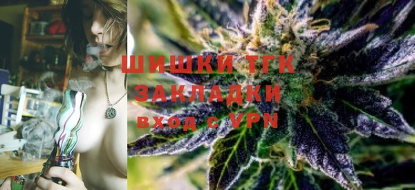 дмт Лиски