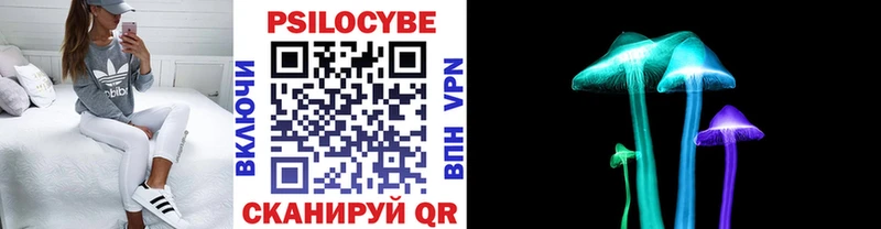 цена   Сызрань  Псилоцибиновые грибы Psilocybe 